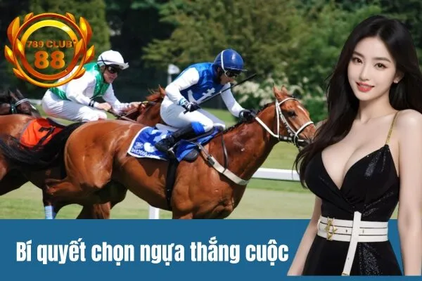 Bí quyết chọn ngựa thắng cuộc tại 789club