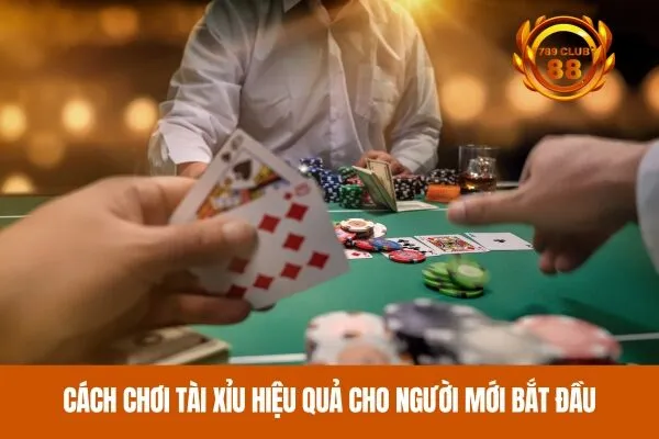 Cách chơi tài xỉu hiệu quả cho người mới bắt đầu
