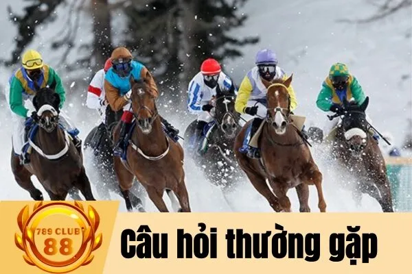 Cách chơi đua ngựa trực tuyến tại 789club