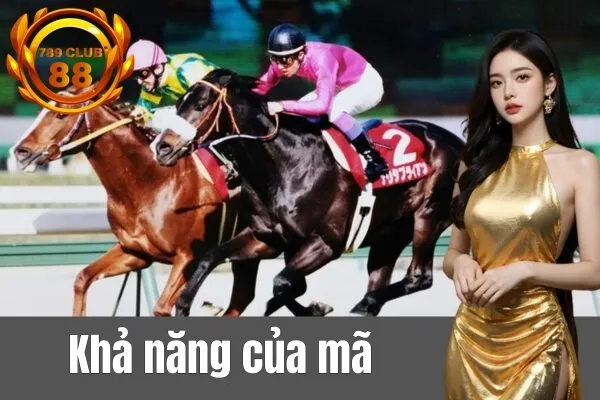 Luật chơi đua ngựa cơ bản tại 789club