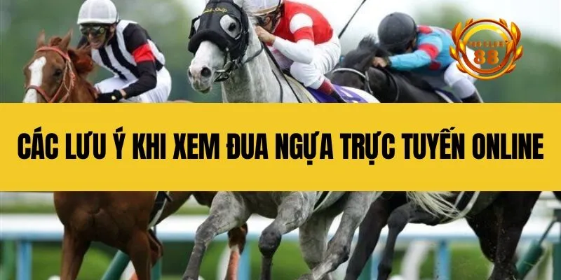 Các lưu ý khi xem đua ngựa trực tuyến online